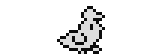 Jelly, the bird, walking